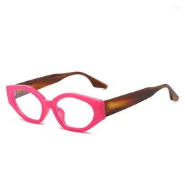 Solglasögon mode kattögon anti LUE Light Glasses Women Men 2024 Högkvalitativ trending Produkt Retro glasögon Ramdator