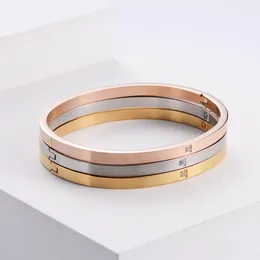 Bangle rostfritt stål kvinnors smycken lyxiga kubiska zirkoniumarmband för män pulseras mujer gratis leverans