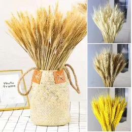 Flores decorativas 100pcs Wheats seco Bunco simboliza a prosperidade Life Living Room Garden Wedding El Decoration GRSA889