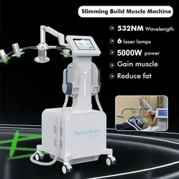 Professional 2 in 1 Painless 6D 레이저 슬리밍 머신 빨간 레이저 635NM 비 침습적 레이저 체중 감소 적외선 6D EMS 살롱