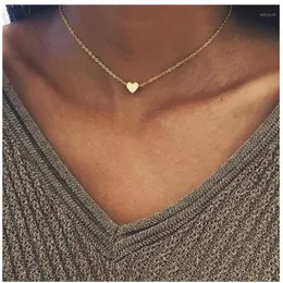 2021 Gold Silver Plated Small Heart Necklaces Bijoux For Women Collars Fashion Jewelry Collarbone Pendant Necklace NA2191236P