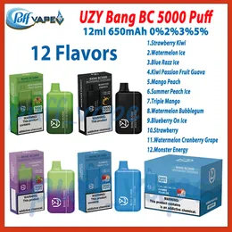 Birincil Uzy Bang BC 5000 Puf E Sigara 650mAh Şarj Edilebilir Bettery vs Elf Kutusu 5K 12ml Ön Doldurulmuş Pod 12 Tatlar Tek Kullanımlık Vape Kalem