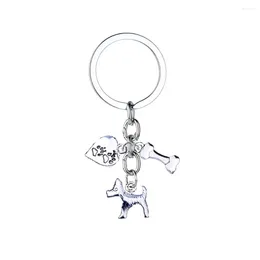 Keychains 12PC Wholesale Lovely Small Dog Bone Heart Paws Prints Charm Keyring Wallet Bah Women Girl Key Chain Gift Friends Men Gifts BFF