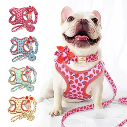 Set di guinzagli per collare per cani stampati personalizzati Pettorine per animali domestici personalizzate che camminano per cani di taglia media Bulldog francese 231225