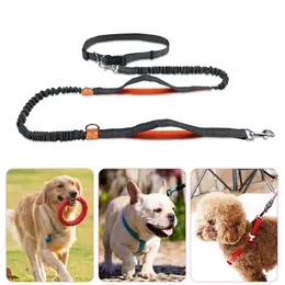 Leashes Reflect light flex dog Leashes running waist belt multifunction walk the dog leashes chain Pet Dog Supplies will and sandy