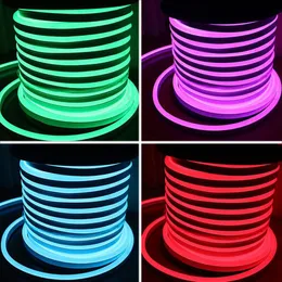 AC110 AC220V SMD2835 LED Neon Flex Strip Light 5 5W 6W LED Neon Rope Light 90leds 120leds LED Neon Light Christmas Decoration 50m1793