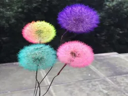 34cm4pcsNatural Preserved Real Dandelion Craft with Wire BranchFlower Art DIY Wedding Party Home Decoration Accessories F12174086592
