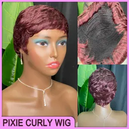 最高品質のブラジルペルーインディアン100％Vrigin Remy Human Hair Wine Red Pixie Curly Short No Lace Wig