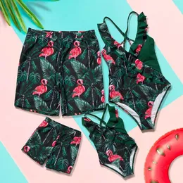 Wear Flamingo Family Matching Swimsuits Outfits Mother Daughter Swimwear Mommy and Me Bikini Dresses Clothes Dad Son Swimming Shorts