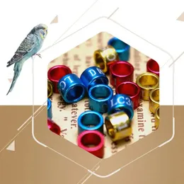 50 Pcs Mix Color Leg Poultry Bird Parrot Clip Rings Band Foot Ring Supplies Appliances Lovebirds Sign 231225