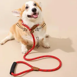Hundhalsar Leash P Chain Dogs Leases Justerbart rep för att gå reflekterande valpträning husdjurstillbehör