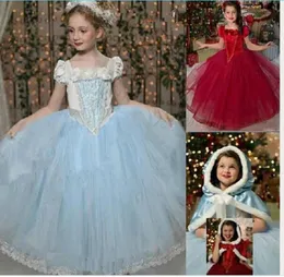 Baby Girl Tutu Lace Ruffled Frozen Dress With Hoodie Cape Poncho Fleece and Lace Princess Puff Shoulder Christmas Party Dresses Ba6189741
