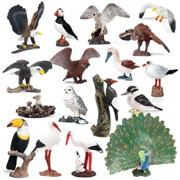 Gather Action Figures Animal Model Simulation Plastic Solid Wildlife Toy Bird Parrot Eagle Ostrich Peacock Ornament