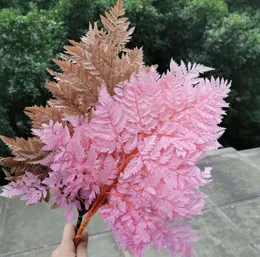 10pcSlotnatural świeże zachowane skrzypki Fernsenal miękkie liście kwiatów bieguna na przyjęcie weselne