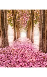 Pink Flowers Cherry Blossoms Backgrounds for Studio Petals Covered Road Trees Children Kids Outdoor Scenic Floral Pography Back3404540