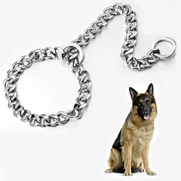 PENDANTI CANGLE CANGLE COLLAR COLLARE P CATERA PETTURA CARBLA ACCIAIO IN ACCIAIO IN ACCIAIO DELLA LUCCA DI CANI LANCO MEDIALE può essere personalizzata