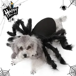 Dog Halloween Costume Spider Cosplay Cat Apparel for Party Dress Up Akcesoria Kurtki 231227