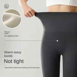 Plus storlek sammet hajbyxor kvinnlig höst och vinter slit varma yogastights och tjocka hög midjiga leggings byxor 231226