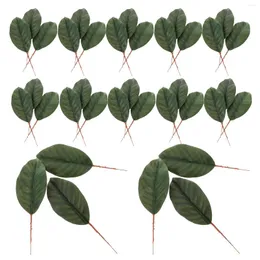 Fiori decorativi 30 pezzi di foglie di magnolia artificiale in tessuto verde che organizzano ornamenti finti