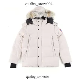 Canda Goose Golden Goose Quality Mens Down Jacket Coat Real Big Wolf Peur