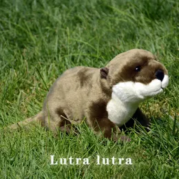 Otter Anime Söt bankbäver Plushie Lutra Plush Toys Livlägsna djur Simulering fylld dockor leksaksgåvor 231225