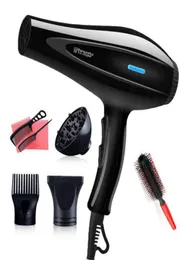 Powerful Professional Salon Hair Dryer Blow Electric Hairdryer Cold Wind with Air Collecting Nozzle D40 21123114850753851028