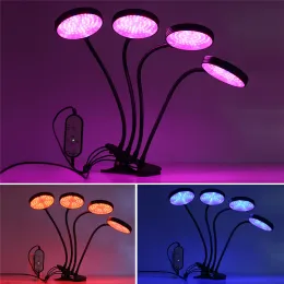 LED Grow Light Red e azul DC5V USB Full Spectrum Phyto Lamp Desktop Clip Picture Lamps Plants Indoor Flowers LL