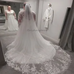 Boho Plus Size Hochzeitskleid 2024 Sexy V-Ausschnitt Illusion Spitze Langarm A-Linie Tüll Strandbrautkleid Elegantes böhmisches Brautkleid Mode Vestidos De Novia Mariage