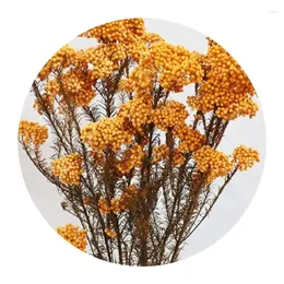 Decorative Flowers 50g Natural Millet Fruit Dried Flower Artificial Christmas Decoration 2023 Pampas Grass Holiday Gifts