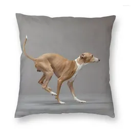 Poduszka Greyhound Sighthound Cover Cover Home Dekoracyjny wzór zwierząt Rzut do drukowania dwustronnego samochodu