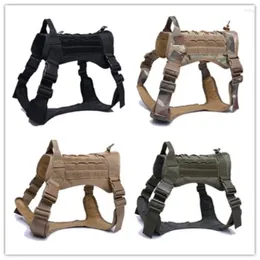 Dog Apparel Horse Clothing Autumn Golden Hair Training Large Tactical Vest In Combat