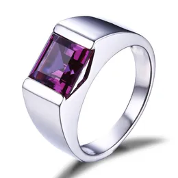 مجوهرات Solitaire Fashion الكاملة 925 Sterling Silver Princess Square Amethyst CZ Diamond Gemstones Wedding Men Ring Gift S2777
