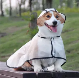 Regenmäntel Hunde-Regenmantel für Mops, transparent, verstellbar, wasserdicht, für alle Arten von Hunden, mit Kapuze, winddichtes Design, Garten