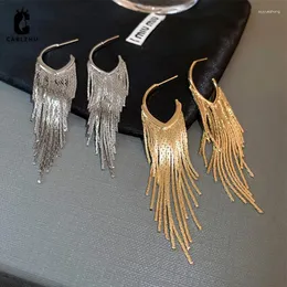 Dangle Earrings Gold Silver Color Long Tassel Vintage Metal Statement Fringe Charm Drop Heart Earing For Women Jewelry