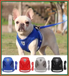 الياقات الكلاب Leaseshes Pet Cat Dog Harness and Leash مجموعة صغيرة متوسطة الكلاب تسخير الصدر ل Chihuahua Bulldog Pug Puppy Harne2722708