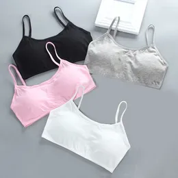 Bustiers Corsets Teenage Girl Braレスブラレットフルカップコットン下着睡眠チューブトップ女性ランジェリー女性の親密なプッシュアップ