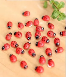 Peri Bahçesi Dekorasyon Böcek Self -Yapışkan Ladybugs Minyatür Bitki Potları Bonsai zanaat hayvanları mikro peyzaj diy dekor mini lad6479596