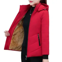 재킷 여성 추가 Veet Cotton Jacket 2022 New Female Winter Fleece Warm Hood Coat Ladies Down Padded Jackets M 5xl 코트 C