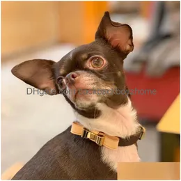 Collari per cani di design con fiocco Collare e guinzaglio in pelle di lusso Set Lettere classiche Guinzagli per animali domestici per cani di piccola taglia Chihuahua Barboncino intero Dhpab