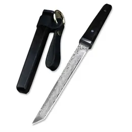 اليابانية Tanto Damascus Steel Blade Blade Sknife Cnife Conte Mini Camping Hunting Stkives