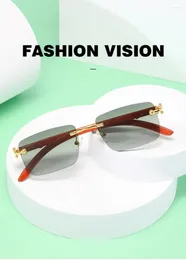 Sunglasses Fashion Women Square Retro Borderless Imitation Wood Grain Mirror Legs Men Personalized Cheetah Metal Glasses UV400