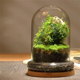 Vaser Creative Glass Cover Dome -flaskor Succulent Vase Micro Moss Landscape Terrarium Home Decoration 230701