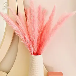 Suszone kwiaty 15pcs Flower Pink Pampas Grass Boho Dekor Home Bouquet Country Wedding Dekoracja Naturalna Ozdoba Stołu 230701