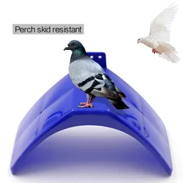 Andra husdjurstillbehör 1020 datorer Fashion Plastic Perch Rest Stand Frame Papegojor Blå bostadsupplarna för Bird 230701