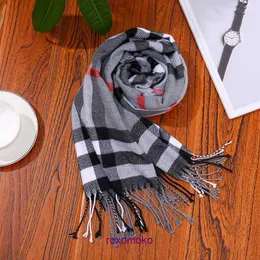 Top quality winter and autumn Bur Home scarf for women men Autumn Winter Versatile Men's Women's Imitation Cashmere Scarf Babag Colorful Plaid Children's