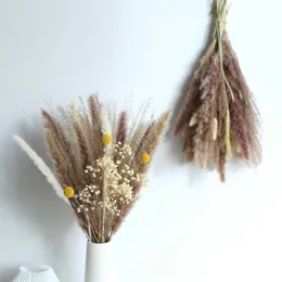 Suszone kwiaty dekoracje trawy prawdziwy trzcinowy puszysty suchy ślub DIY Naturalny bukiet do domowych akcesoriów