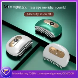 Altri articoli per massaggi Spazzola elettrica per vibrazioni Compress Lifting Massager EMS Pulse Anti Age Face Board Meridian Comb 230703