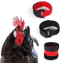 Other Bird Supplies 1Pair No Crow Rooster Collar Chicken Noise Free Anti-Hook Neckband Collars