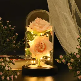 Dried Flowers Eternal Flower Rose Glass Cover LED Light Artificial In Dome For Christmas Mother's Valentine's Day Gift