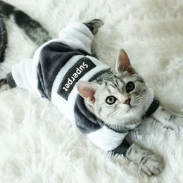 Cat Costumes Superpet Sweater Fashion Winter Warm Clothes For Kitten Puppy Apparel Sphynx Small Dog Hoody Pet Accessories